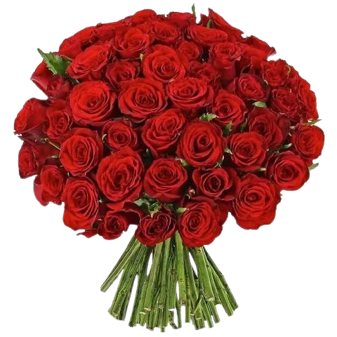 icone rose rouge