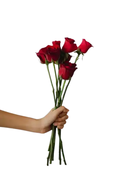 offrir des roses rouge pièce