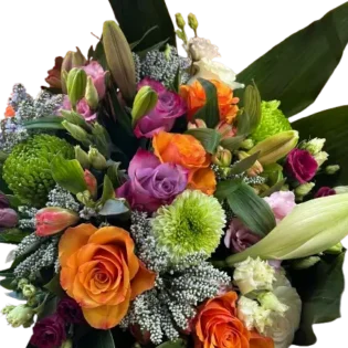 Journée des Droits des Femmes