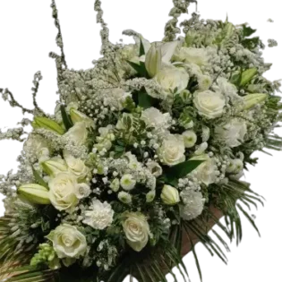 Raquette blanche - Gap Events