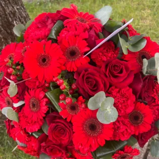 Coussin rond rouge - Gap Events